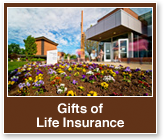 Gifts of Life Insurance Rollover. Link to Gifts of Life Insurance.