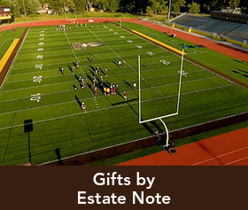 Rollover image of a football field. Link to Gifts by Estate Note.